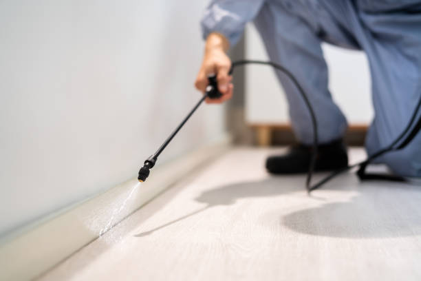 Licensed Exterminator service in Normandy Park, WA - Show Me Pest Control